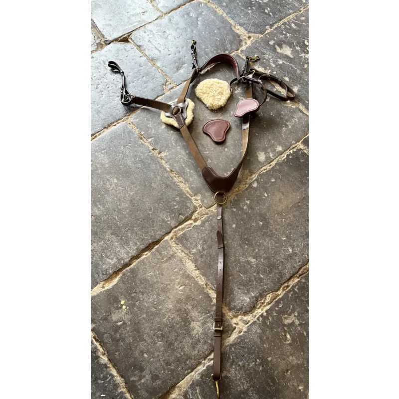 collier de chasse