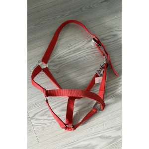 Licol rouge en nylon COB