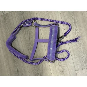 Licol mauve avec mouton poney