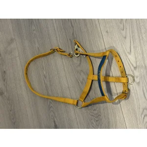 Licol jaune Harry's Horse Poney