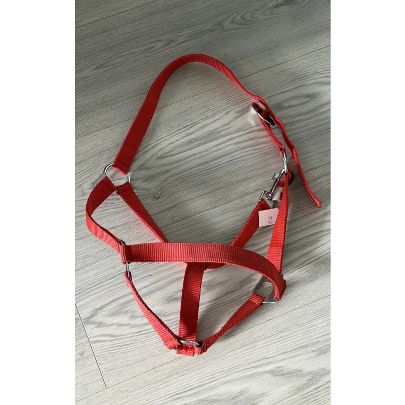 Licol rouge en nylon COB