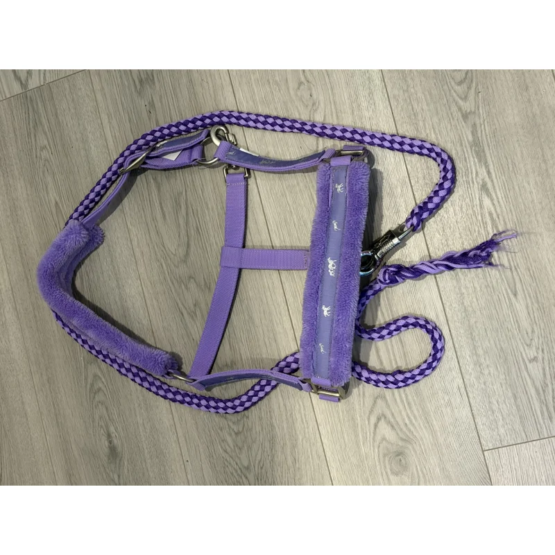 Licol mauve avec mouton poney